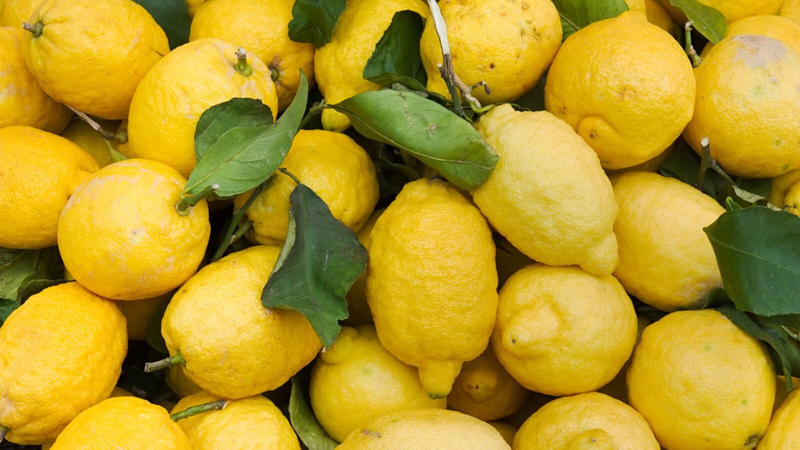 organic lemons