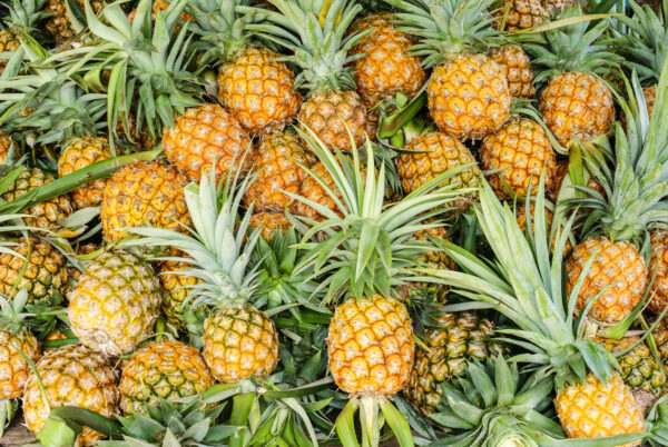 pineapple tropical fruit