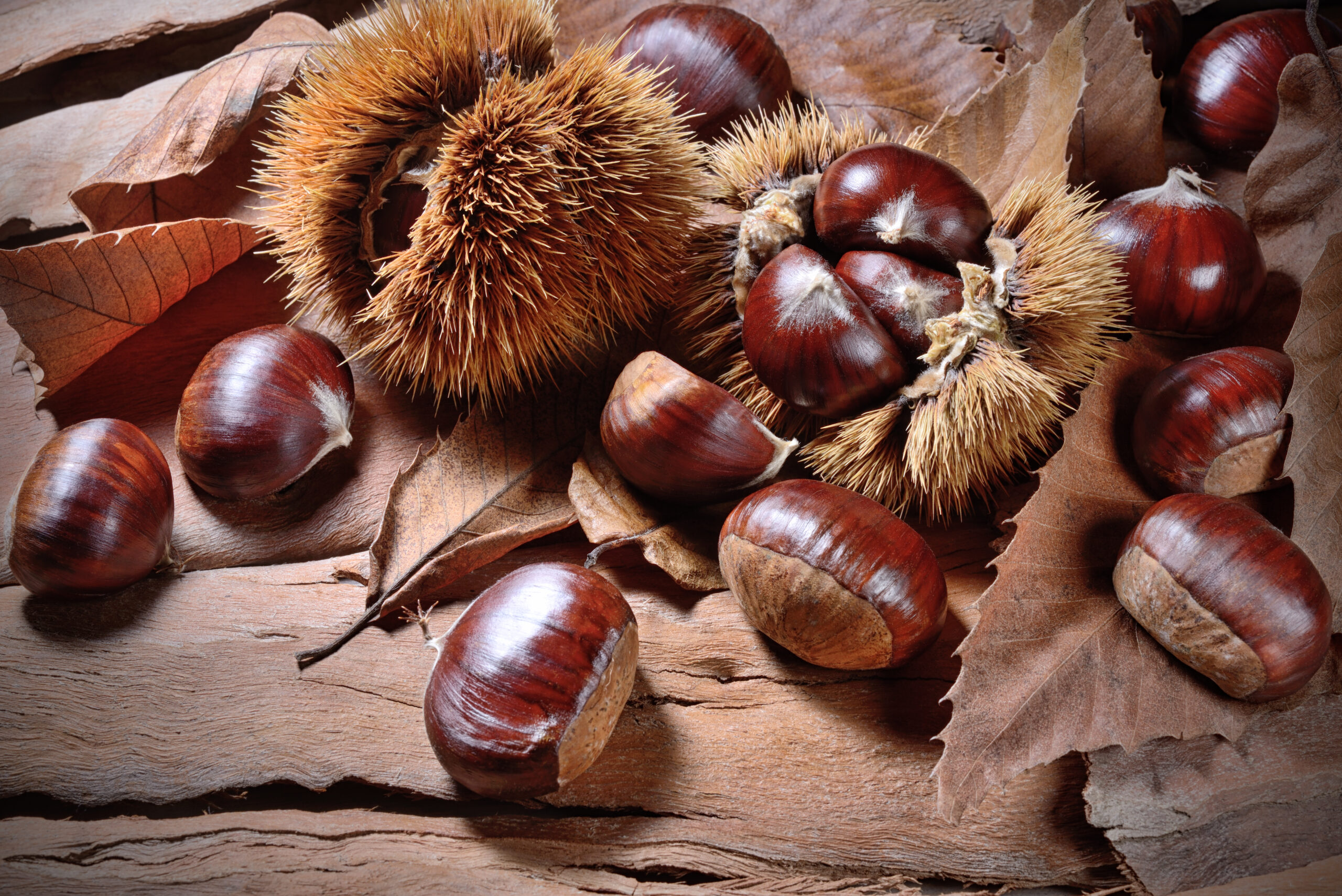 Chestnuts