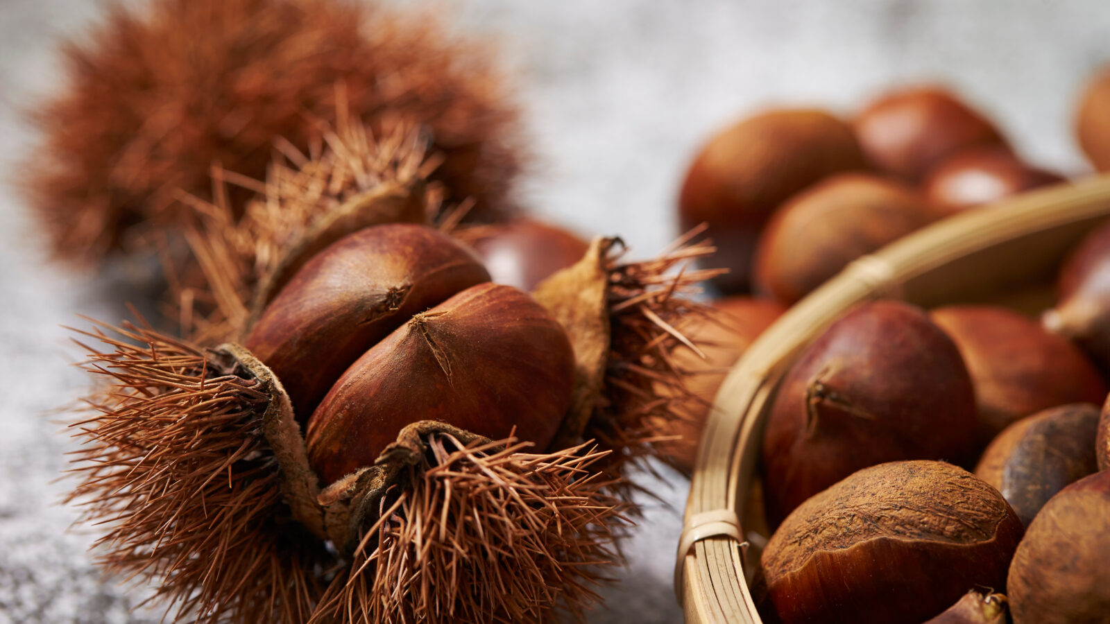 Chestnuts with shell and spikes