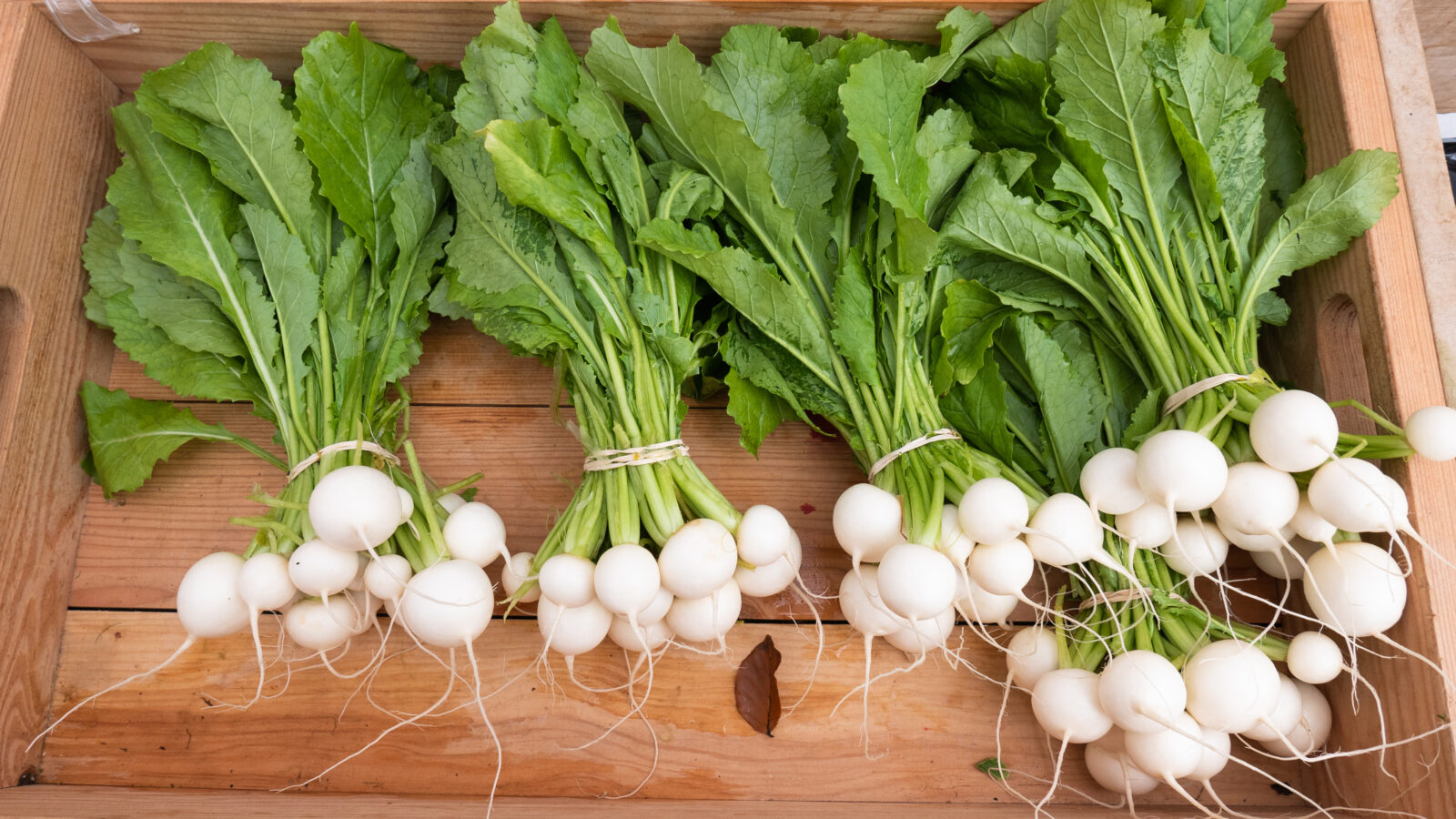 Five Bundles of young bright white turnips with greens in a wooden crate