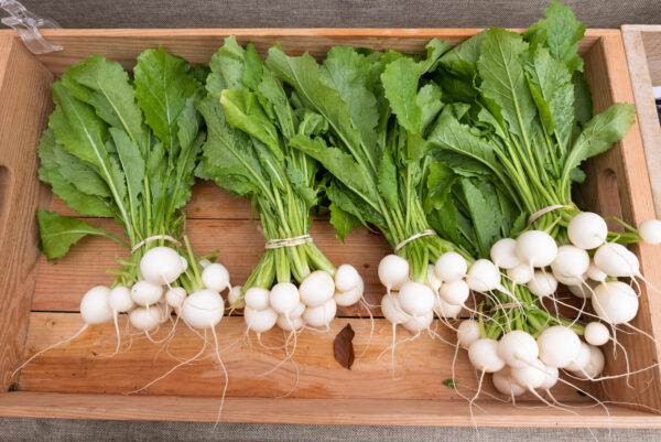 Five Bundles of young bright white turnips with greens in a wooden crate