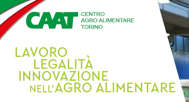 Foto Tavola Rotonda News