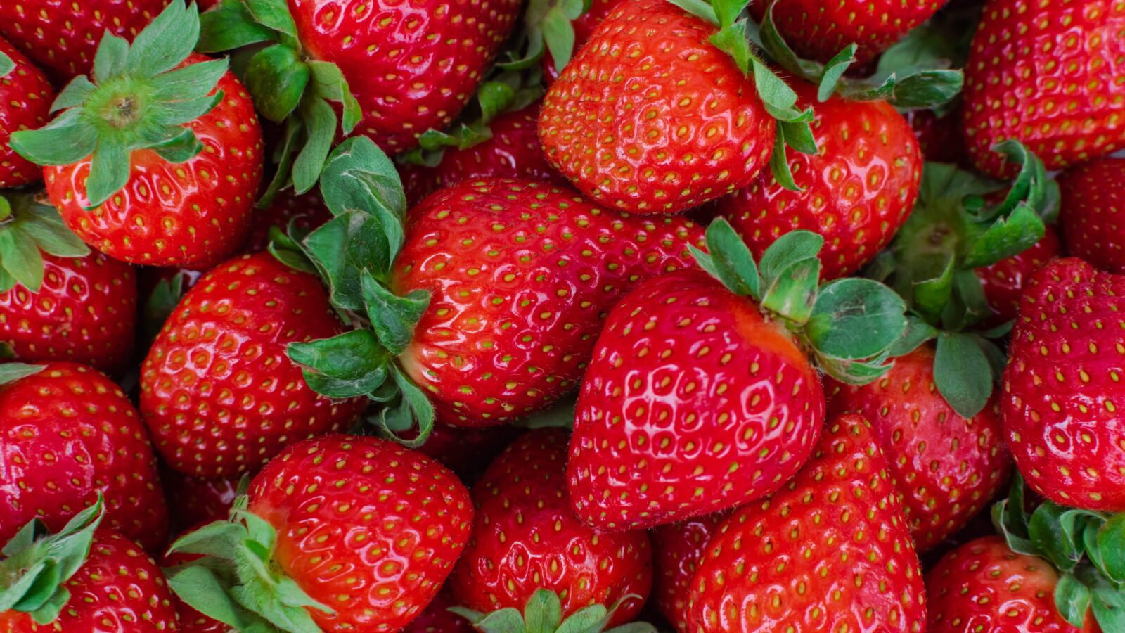 Fragole-min