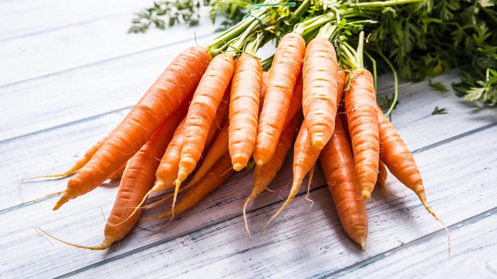 carota-min