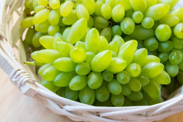 AdobeStock_119757655-min