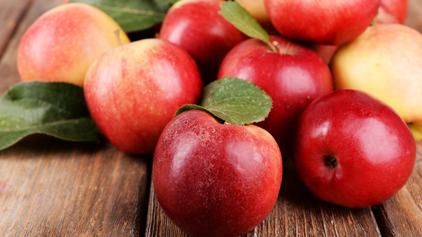 AdobeStock_71618886-min