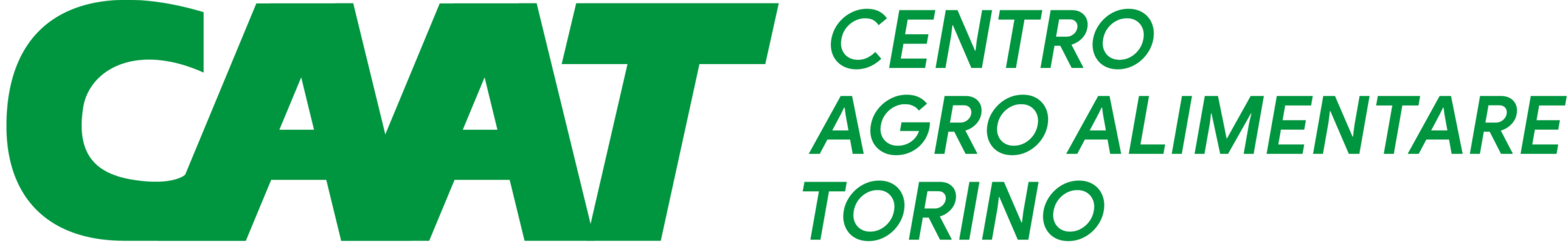 Centro Agro Alimentare Torino