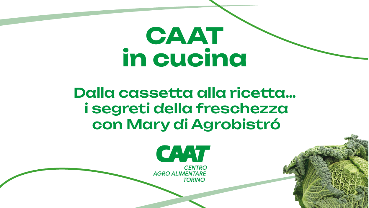 CAAT in cucina_banner
